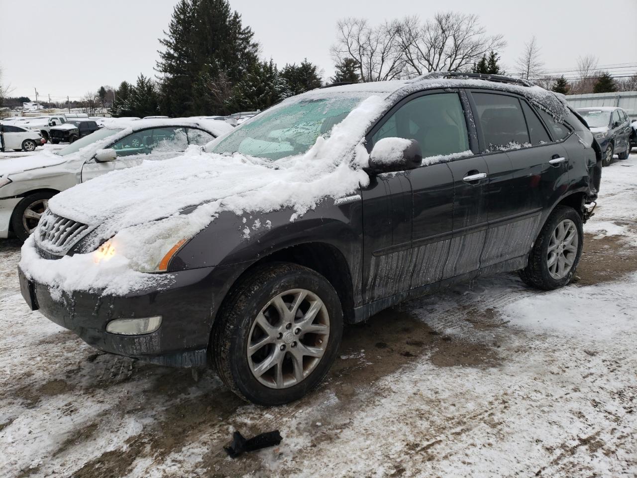 2009 Lexus RX - Image 1