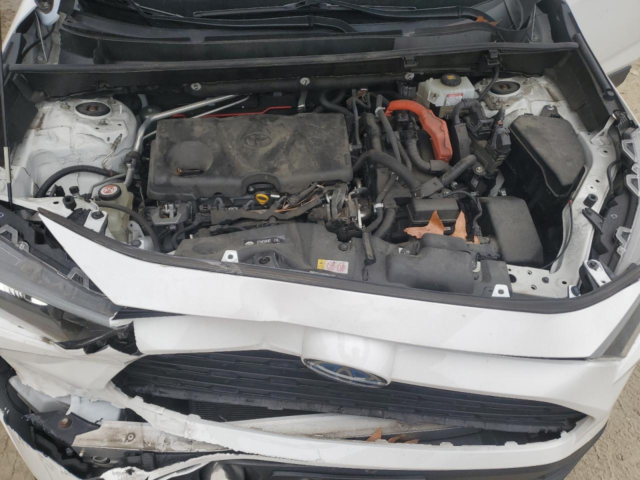 2019 Toyota RAV 4 - Image 12
