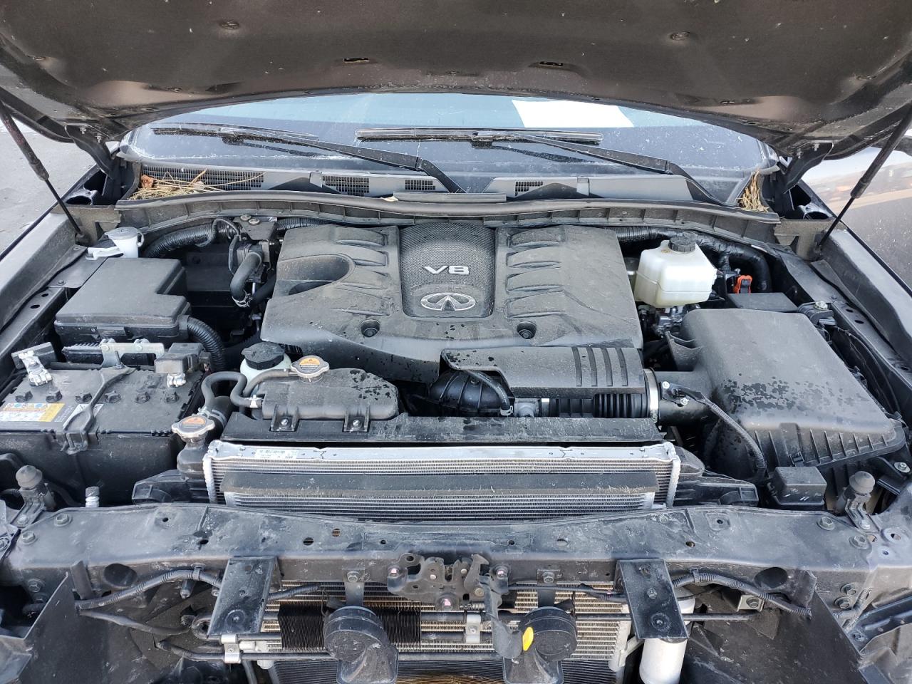 2024 Infiniti QX80 - Image 12