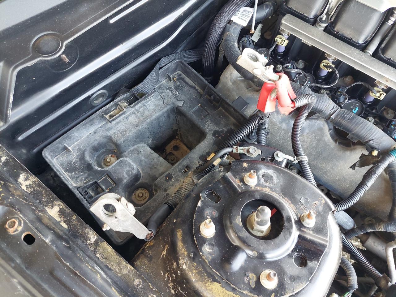 1ZVBP8CH9A5117985 - 2010 FORD MUSTANG - #43094175