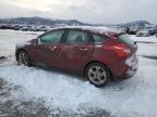 2014 Ford Focus Se for Sale in Helena, MT - Front End