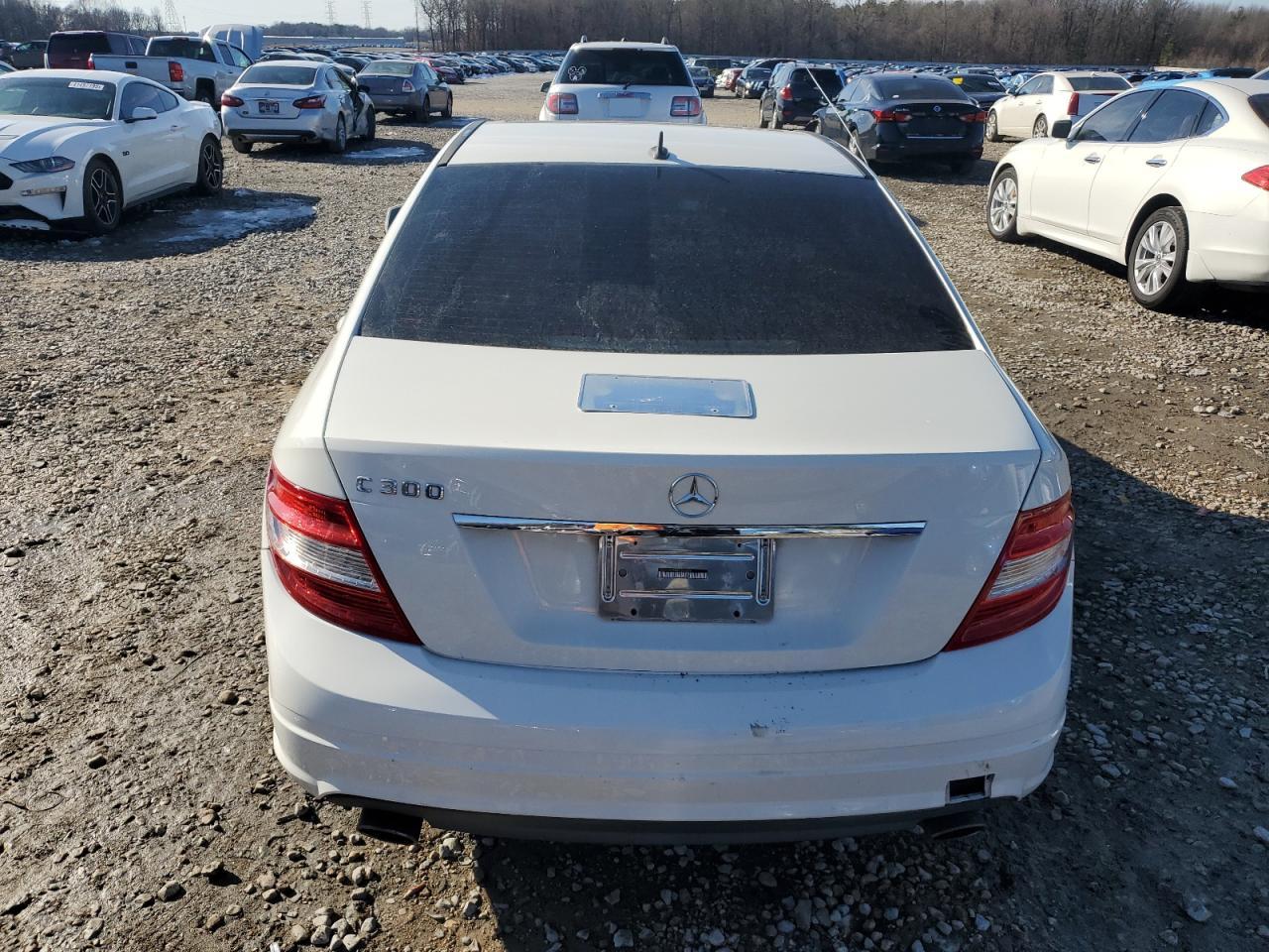 2010 Mercedes-Benz C 300 VIN: WDDGF5EB4AA396696 Lot: 87912445