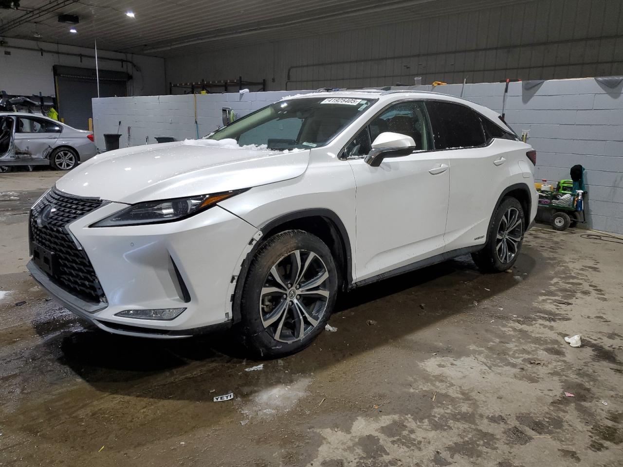 2022 Lexus RX - Image 1