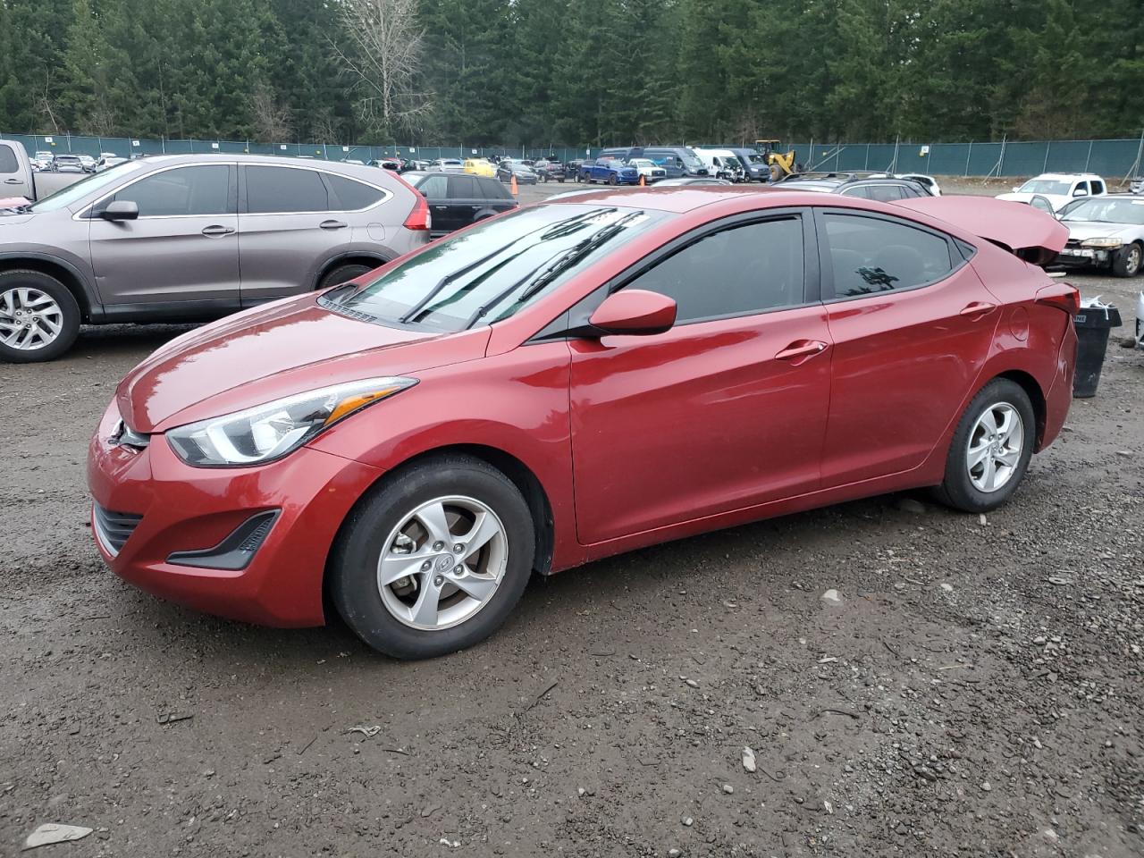 VIN 5NPDH4AE7EH534621 2014 HYUNDAI ELANTRA no.1