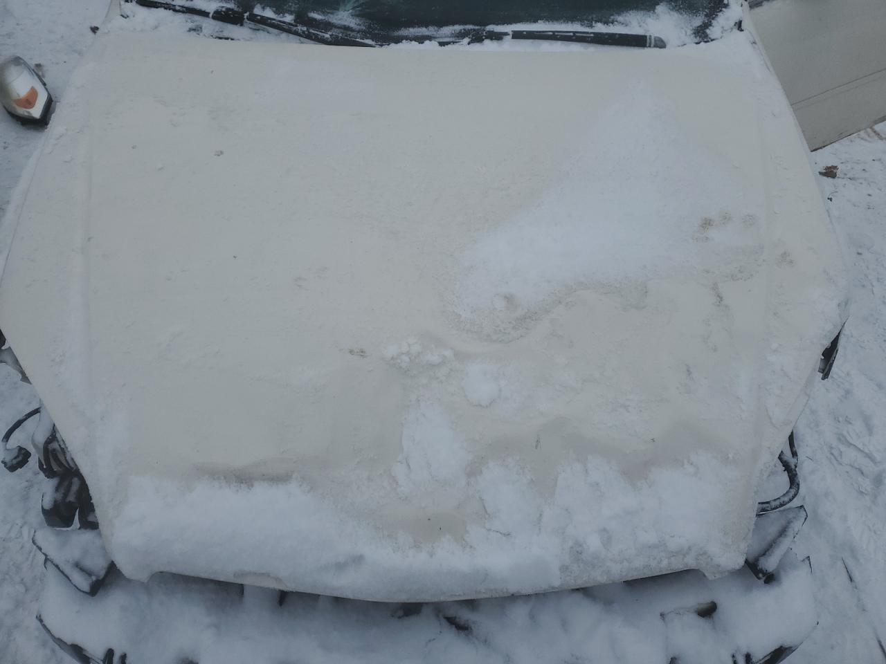 2008 Chevrolet Impala Ls VIN: 2G1WB58N889289091 Lot: 41594085