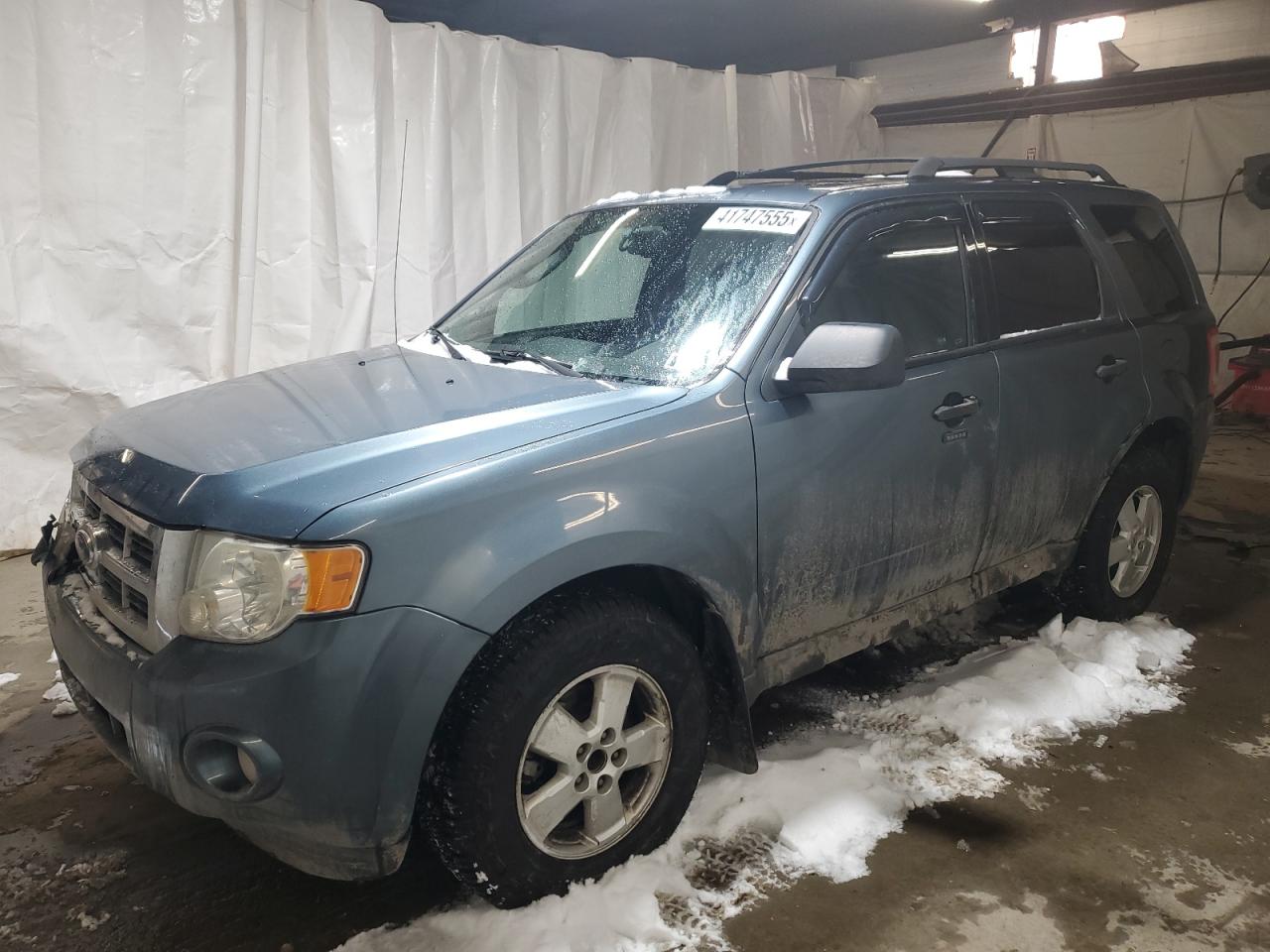 2010 Ford Escape - Image 1