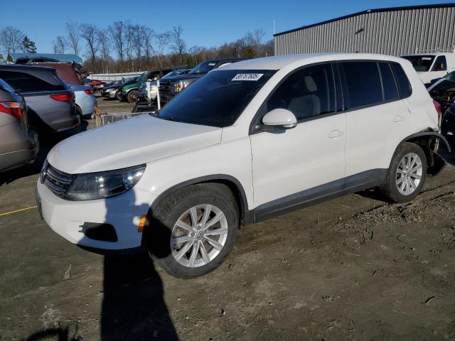 2014 Volkswagen Tiguan S na sprzedaż w Spartanburg, SC - Rear End