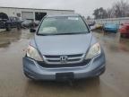 2010 Honda Cr-V Exl na sprzedaż w Gaston, SC - All Over
