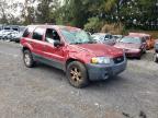 2005 Ford Escape Xlt продається в Kapolei, HI - Rollover