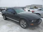 2005 Ford Mustang  for Sale in Leroy, NY - Rear End