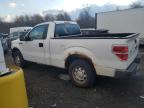 2013 Ford F150 zu verkaufen in East Granby, CT - Minor Dent/Scratches