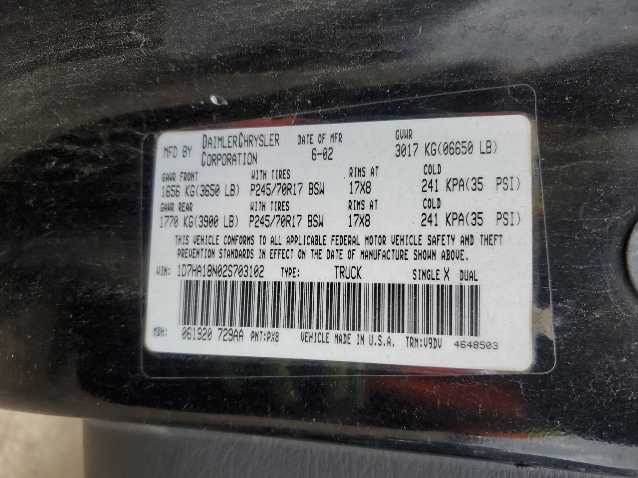 2002 Dodge Ram 1500 VIN: 1D7HA18N02S703102 Lot: 87979775