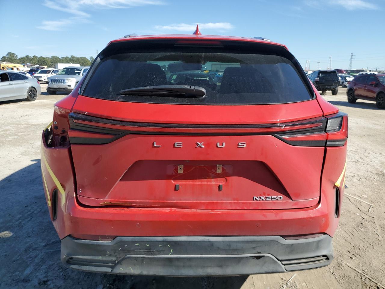 2024 Lexus NX - Image 6