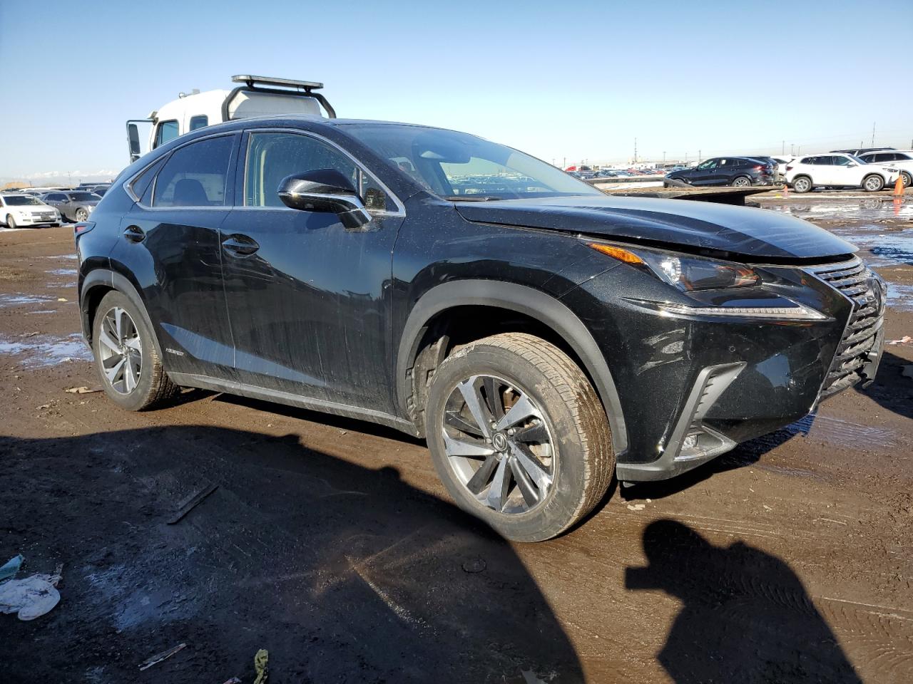 2021 Lexus NX - Image 4