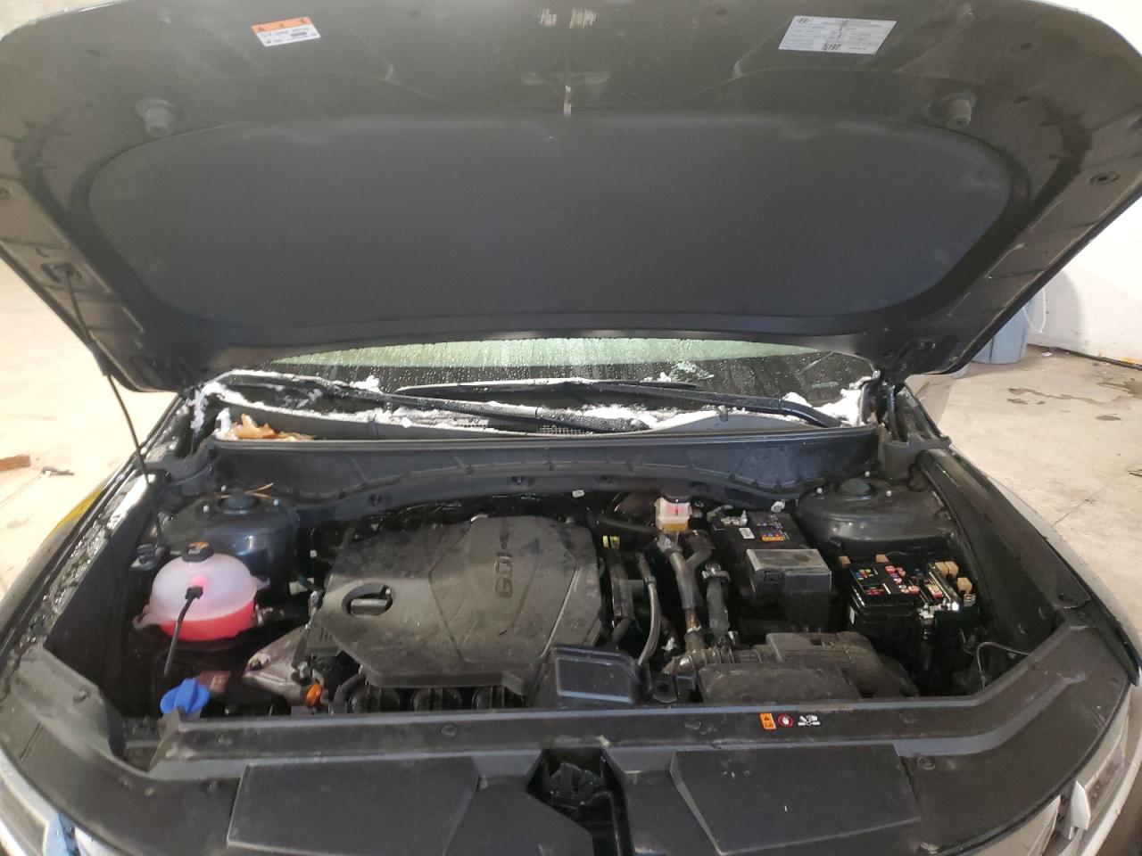 2024 Hyundai Santa Cruz Sel VIN: 5NTJBDDE0RH116974 Lot: 86794324
