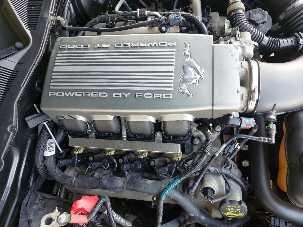 1ZVBP8CH9A5117985 - 2010 FORD MUSTANG - #43094175