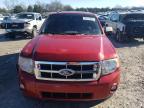 Madisonville, TN에서 판매 중인 2010 Ford Escape Xlt - Front End
