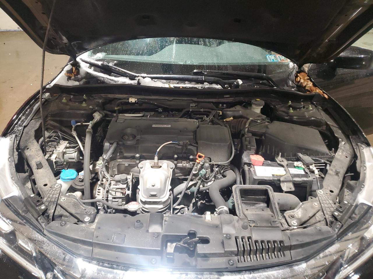 VIN 1HGCR2F31GA174407 2016 HONDA ACCORD no.11