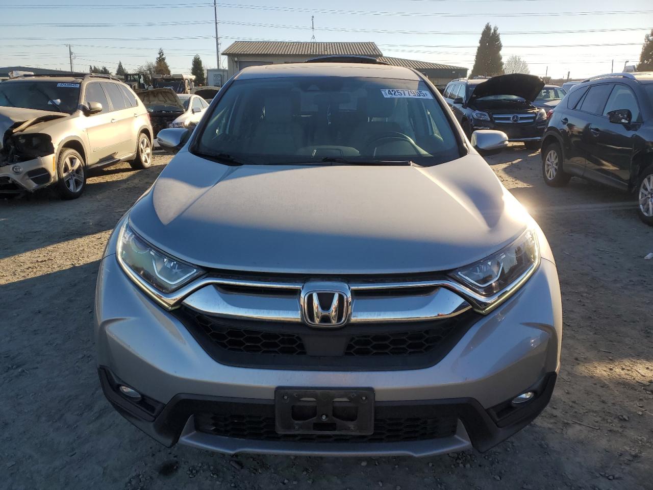 2019 Honda CR-V - Image 5
