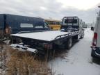 Seaford, DE에서 판매 중인 2022 International Mv607  - Front End