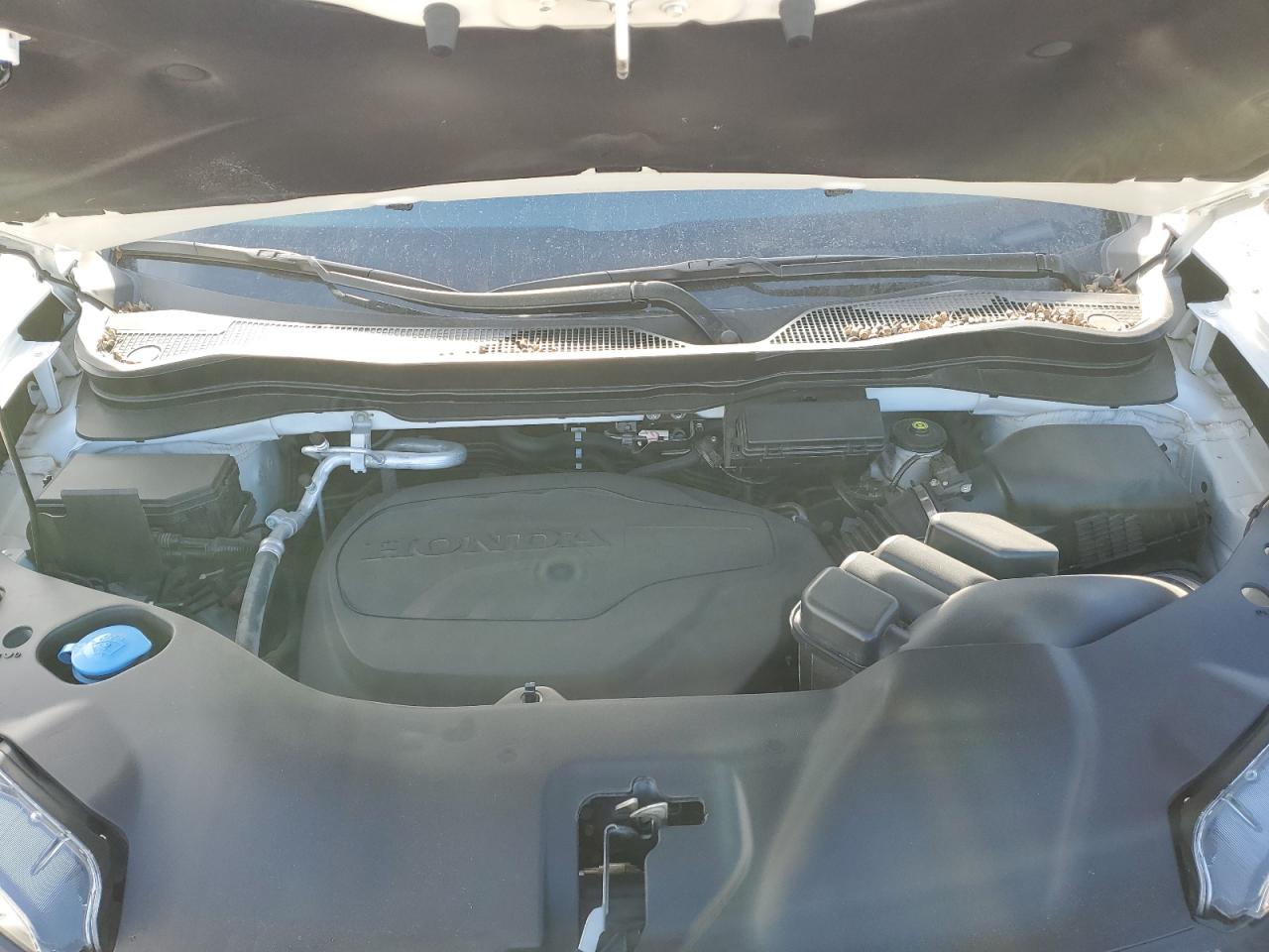 2021 Honda Passport - Image 12