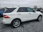 2014 Mercedes-Benz Ml 350 Bluetec zu verkaufen in Riverview, FL - Minor Dent/Scratches