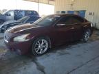 2013 Nissan Maxima S للبيع في Homestead، FL - Rear End