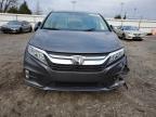 Finksburg, MD에서 판매 중인 2020 Honda Odyssey Exl - Front End