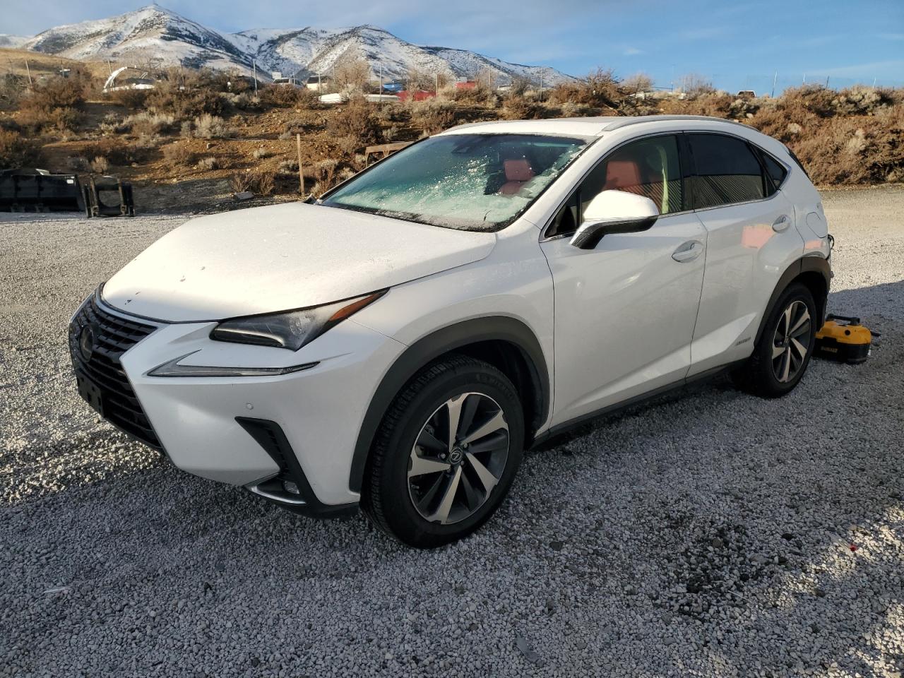 2019 LEXUS NX