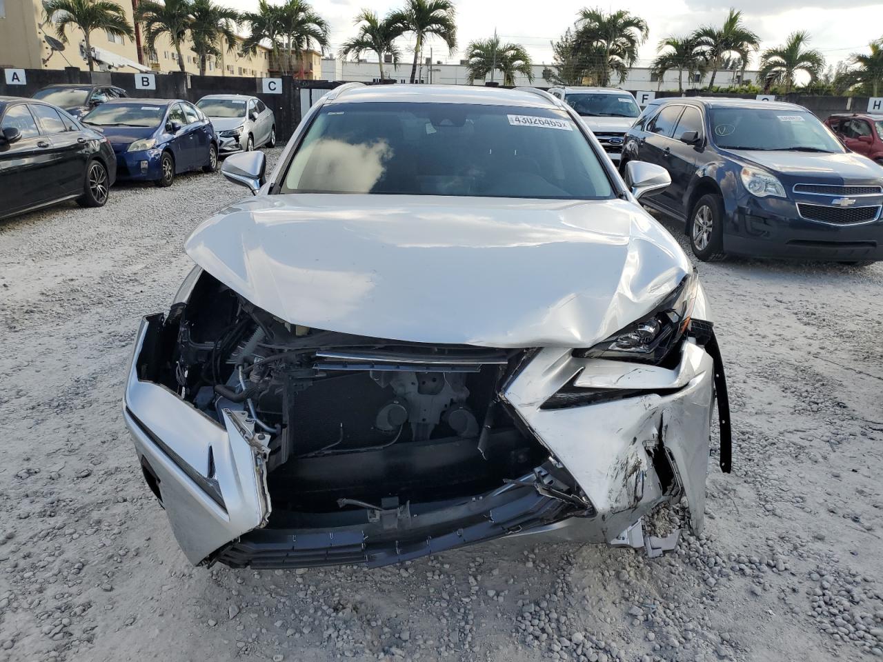 2019 Lexus NX - Image 5