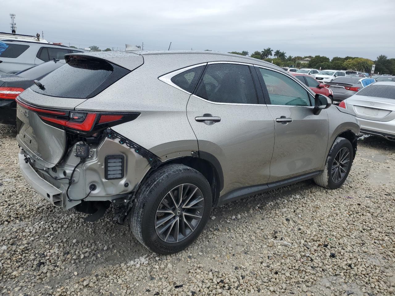 2022 Lexus NX - Image 3