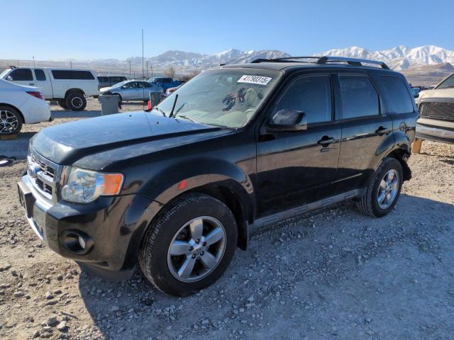 2011 Ford Escape Limited