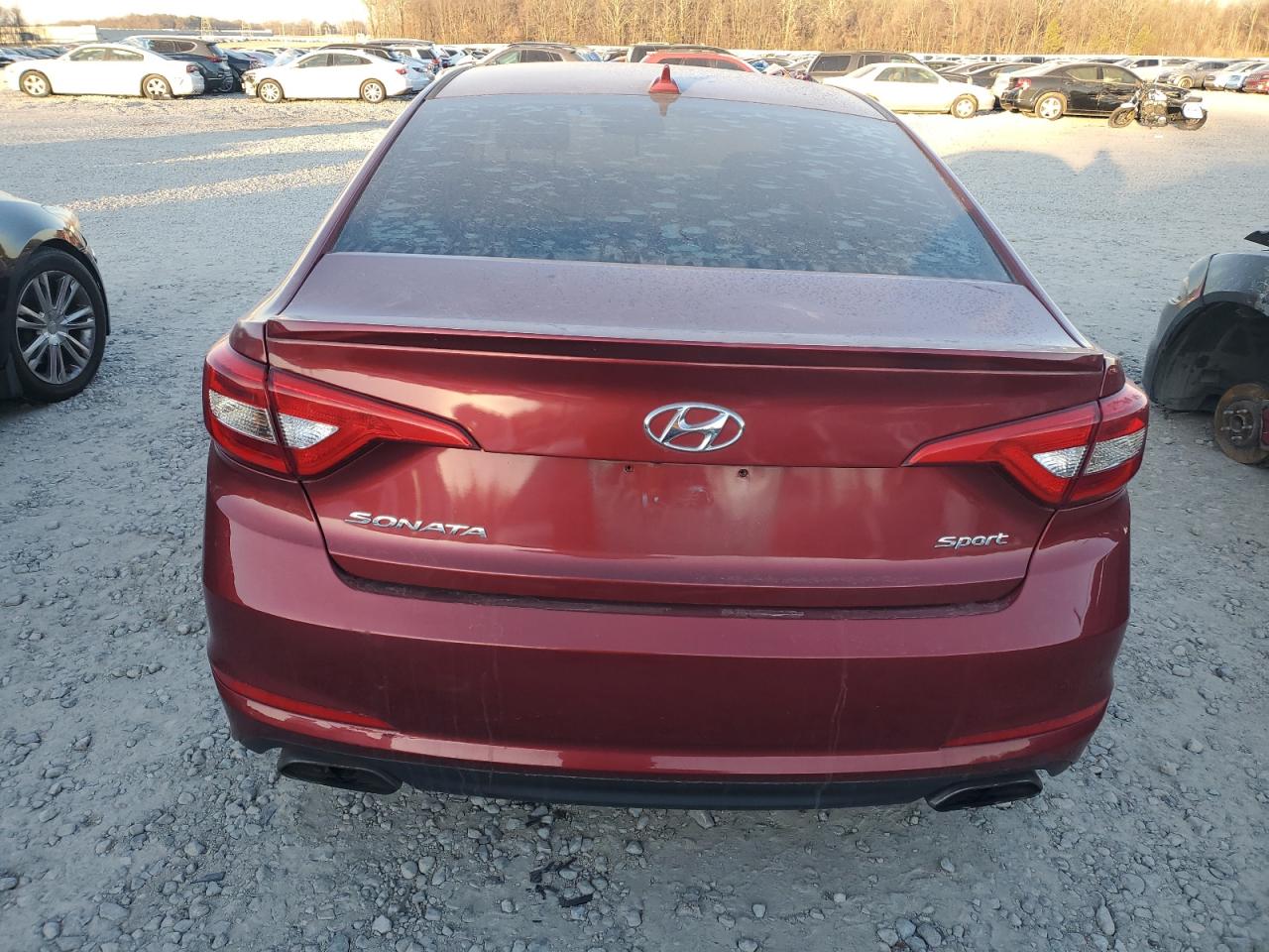 VIN 5NPE34AF2GH312387 2016 HYUNDAI SONATA no.6