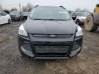 2014 Ford Escape Se for Sale in Hillsborough, NJ - Normal Wear