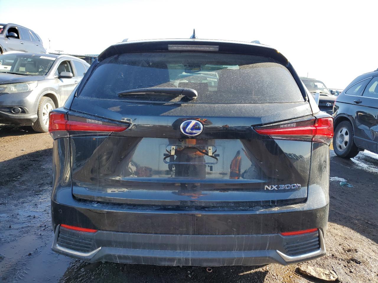 2021 Lexus NX - Image 6