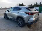 2024 LEXUS NX 350 PREMIUM for sale at Copart ON - TORONTO