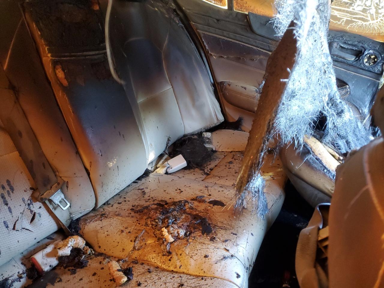 2014 Kia Cadenza Premium VIN: KNALN4D79E5152606 Lot: 88441315