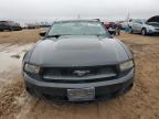 2011 Ford Mustang  на продаже в Amarillo, TX - Rear End