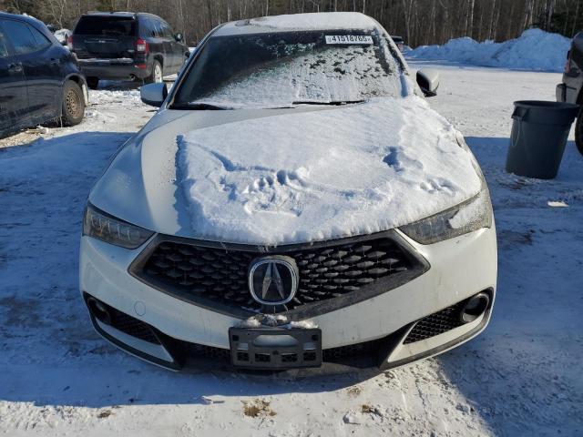  ACURA TLX 2019 Biały