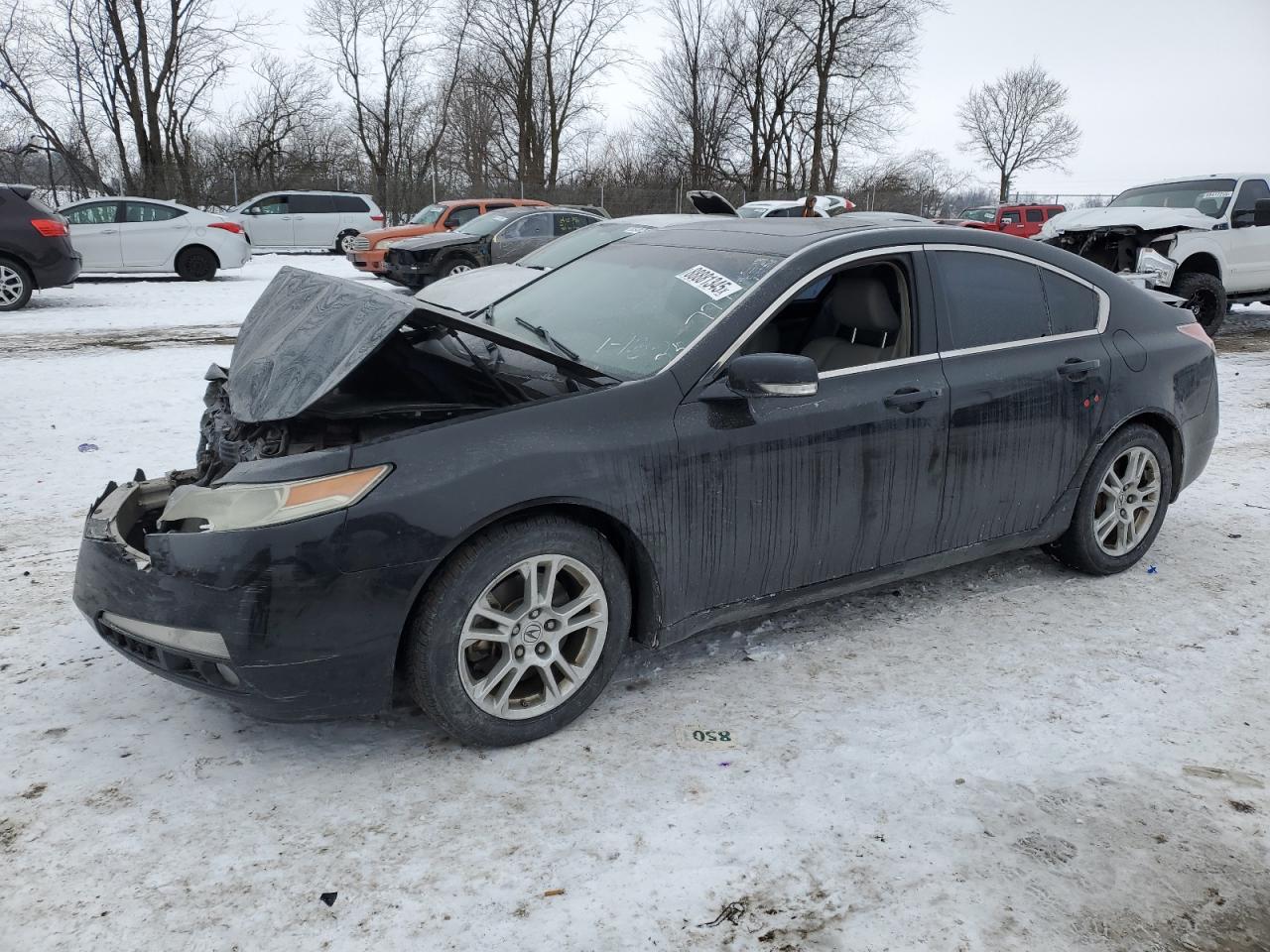 2010 Acura TL - Image 1