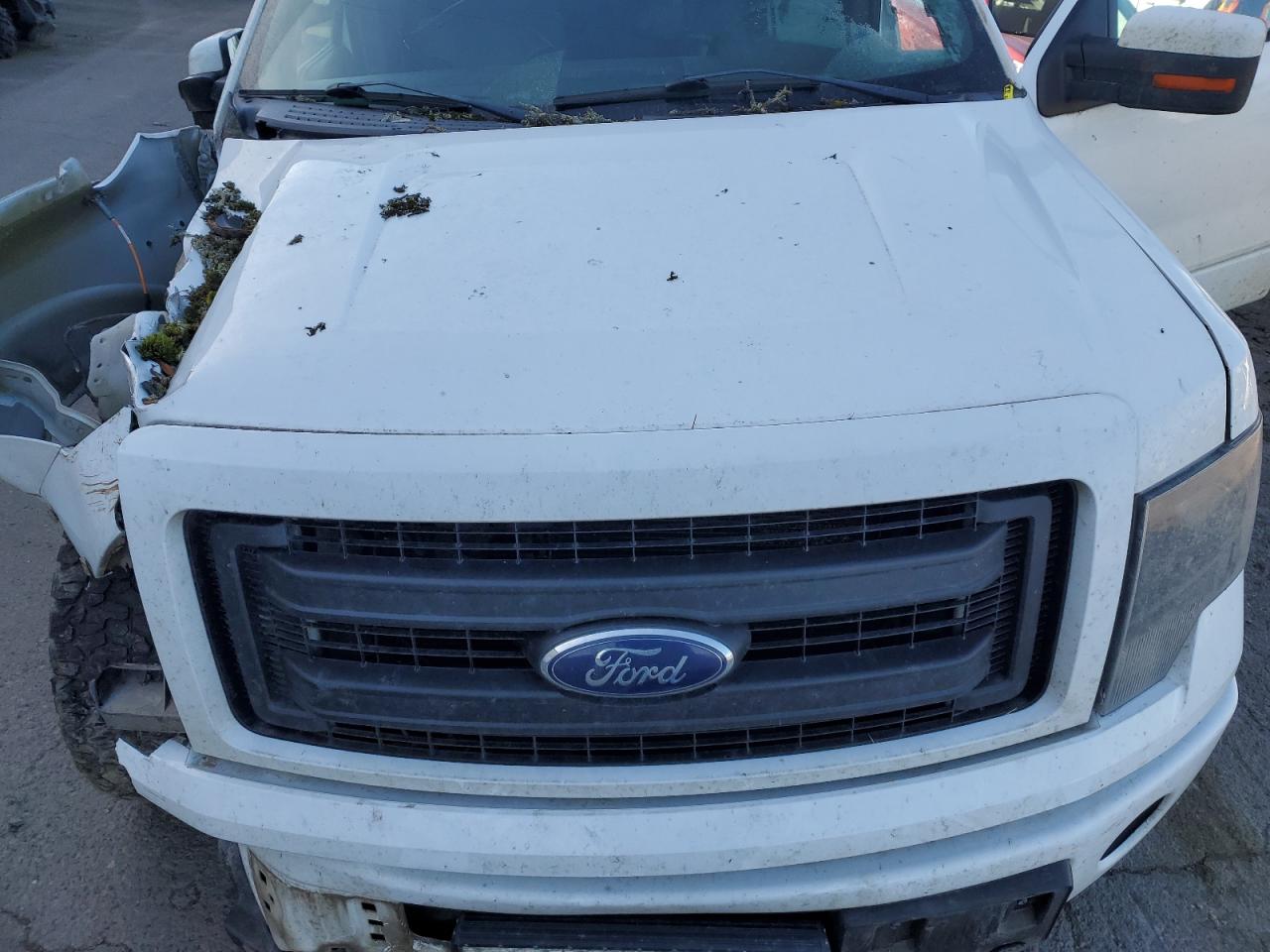 2013 Ford F-150 - Image 11