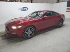 Jacksonville, FL에서 판매 중인 2017 Ford Mustang  - Minor Dent/Scratches