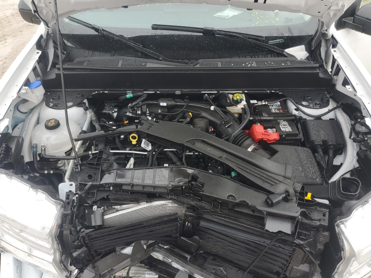 3FTTW8H91RRB73231 FORD MAVERICK 2024