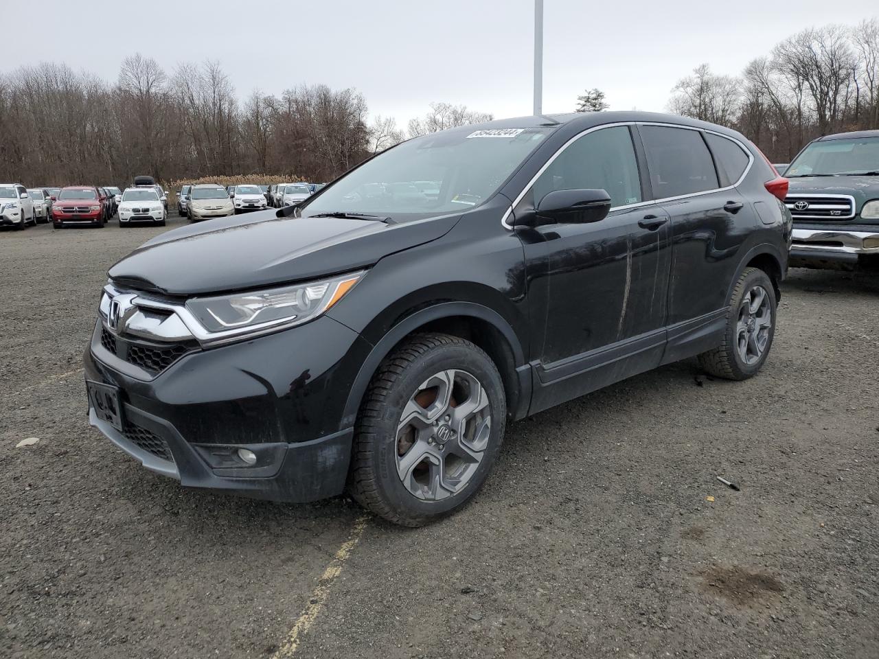 VIN 2HKRW2H83KH629169 2019 HONDA CRV no.1