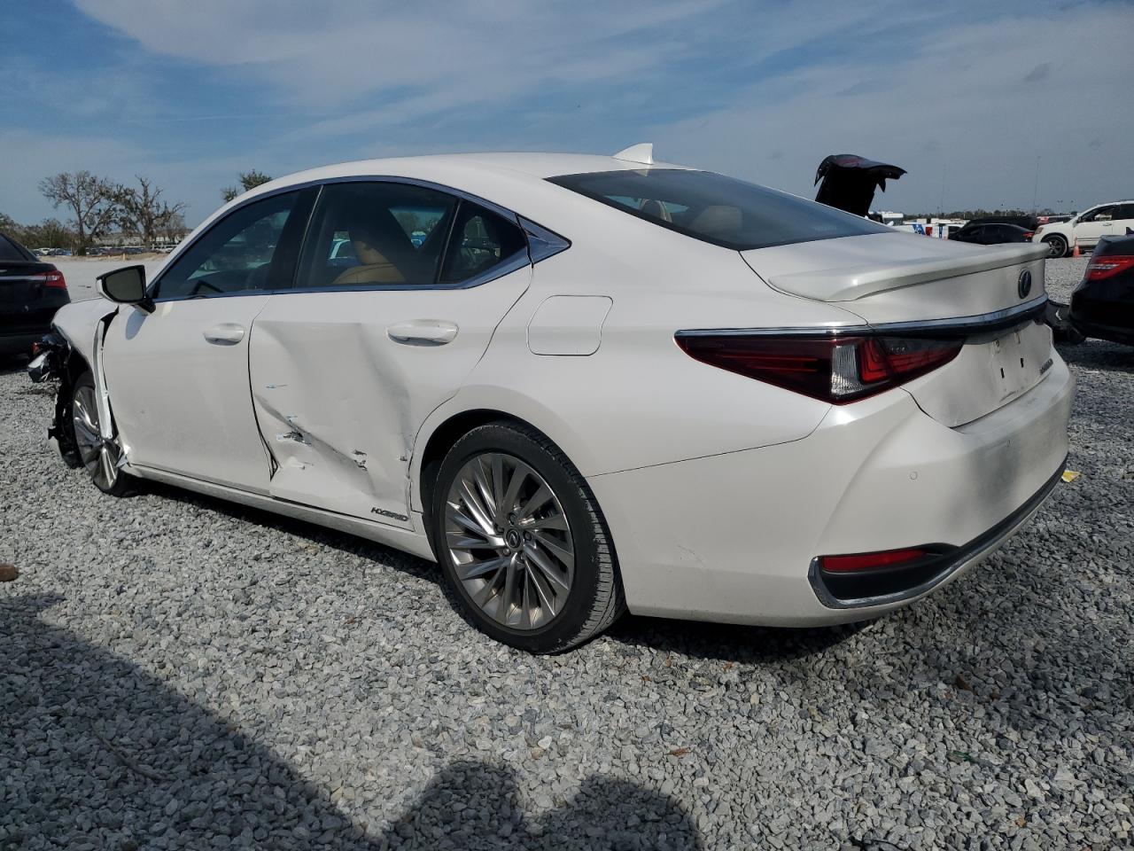 2020 Lexus ES - Image 2