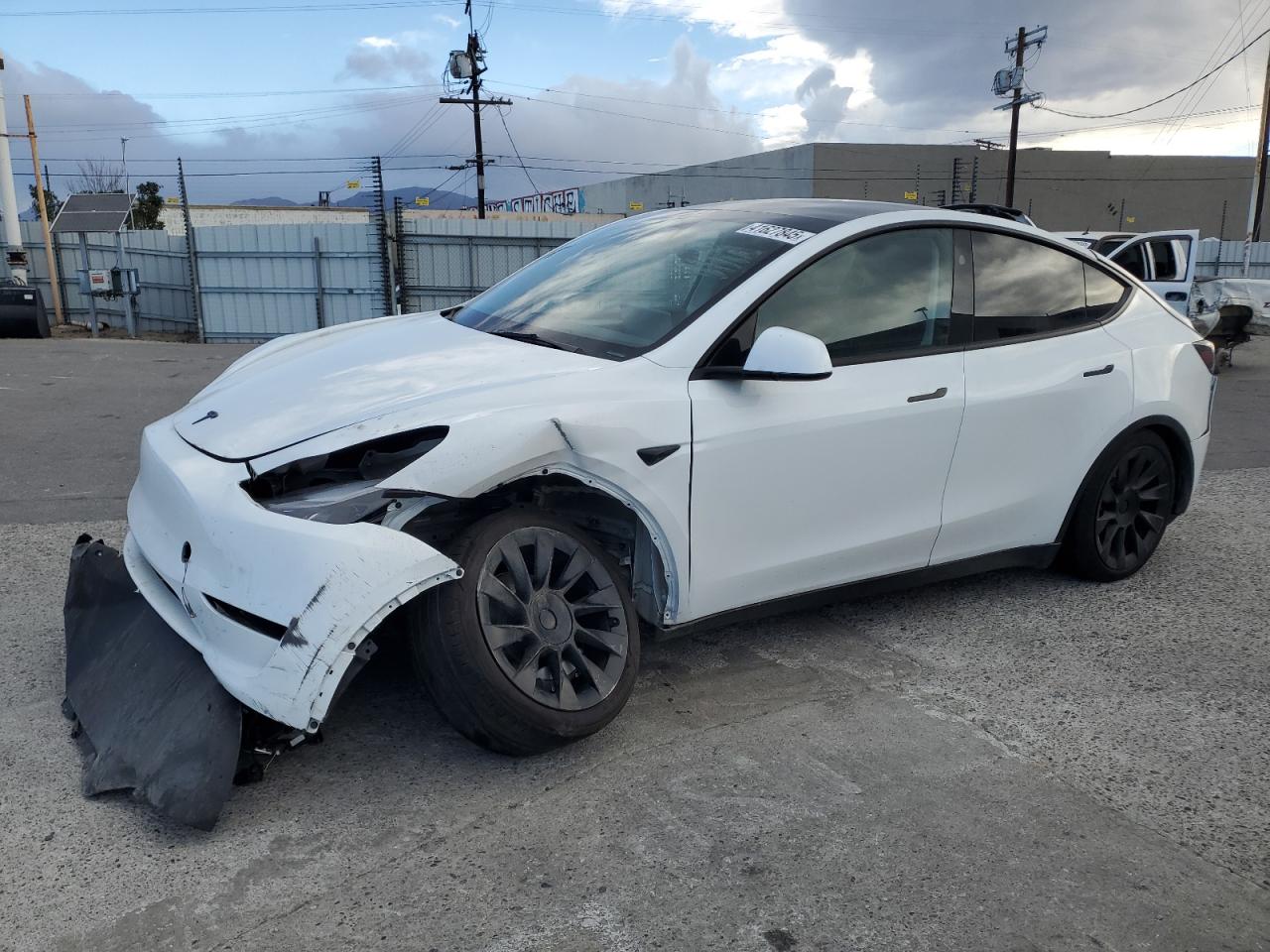 2023 TESLA MODEL Y WHITE VIN: 7SAYGDED5PF941508