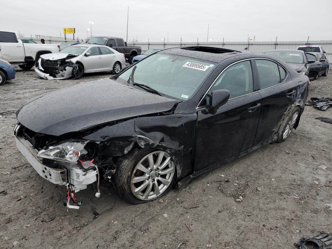 2008 Lexus IS - Image 1