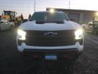 2023 Chevrolet Silverado K1500 Lt Trail Boss for Sale in Eugene, OR - Front End