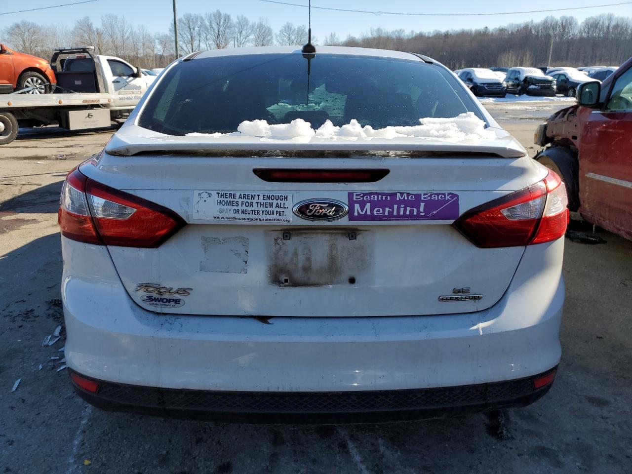 2013 Ford Focus - Image 6