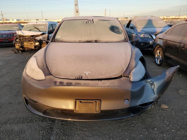  TESLA MODEL Y 2023 Серый